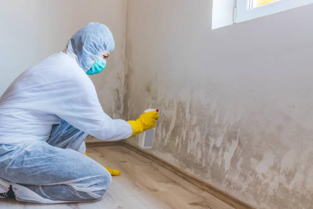 Hvac And Air Duct Mold Remediation inspection of HVAC system in Spring Grove
